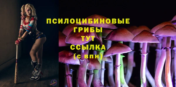 ешки Нефтегорск