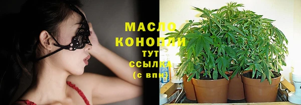 mdpv Новозыбков
