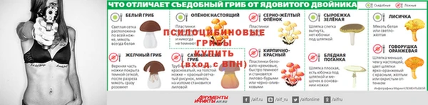 сатива Нязепетровск