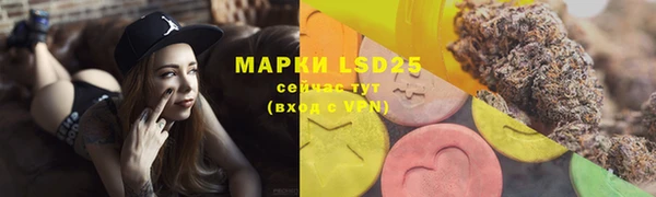 mdpv Новозыбков
