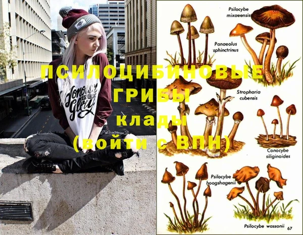 мяу мяу мука Новодвинск