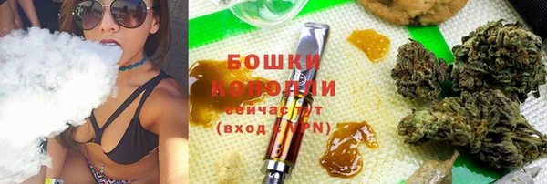 не бодяженный Заводоуковск